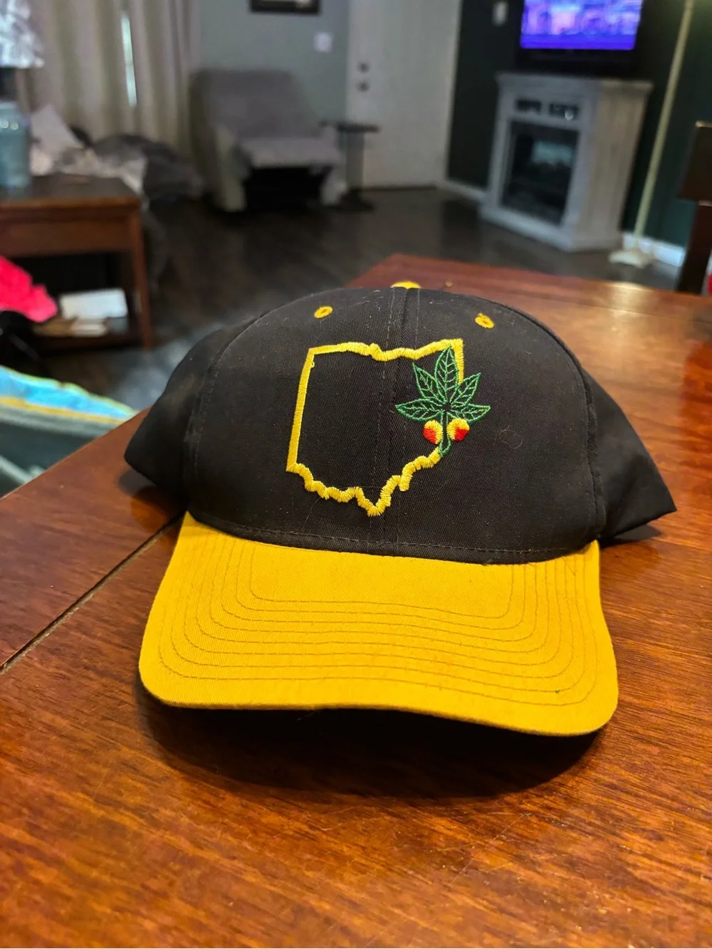Black and Yellow Baseball Cap with State Outline and Fruit Embroidery
